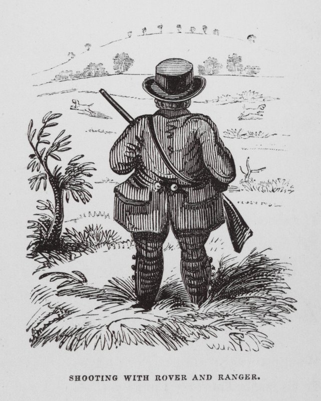 Tir avec Rover et Ranger - English School