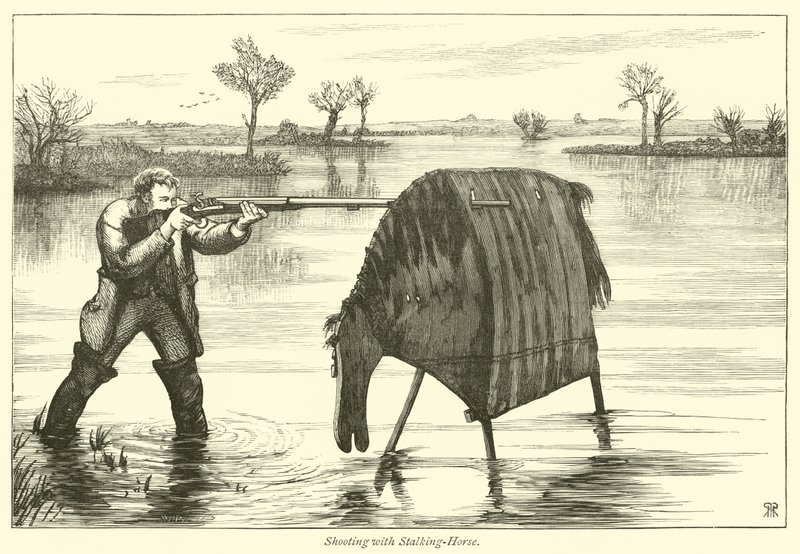 Chasse avec un cheval de traque - English School