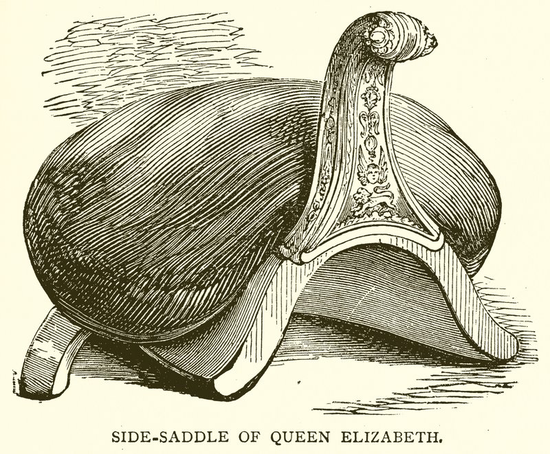 Selle de Reine Élisabeth - English School