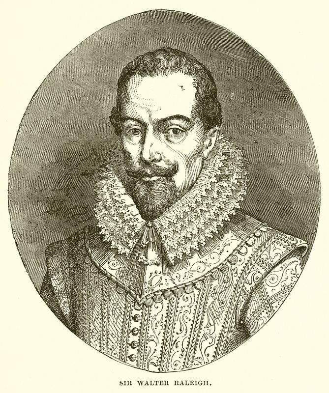 Sir Walter Raleigh - English School