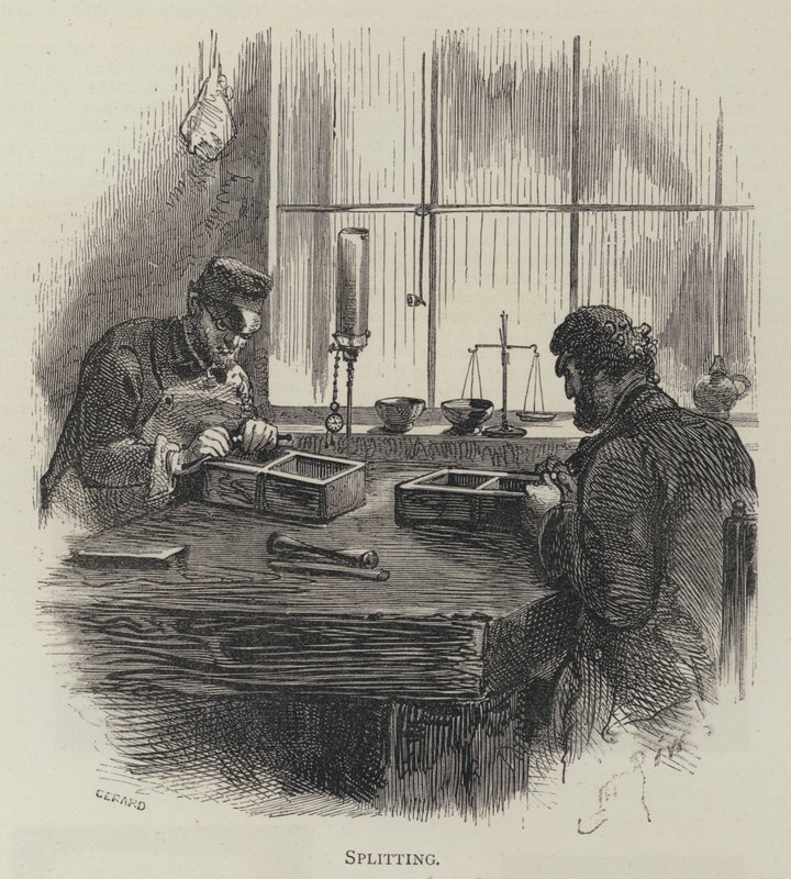 Fendage - English School