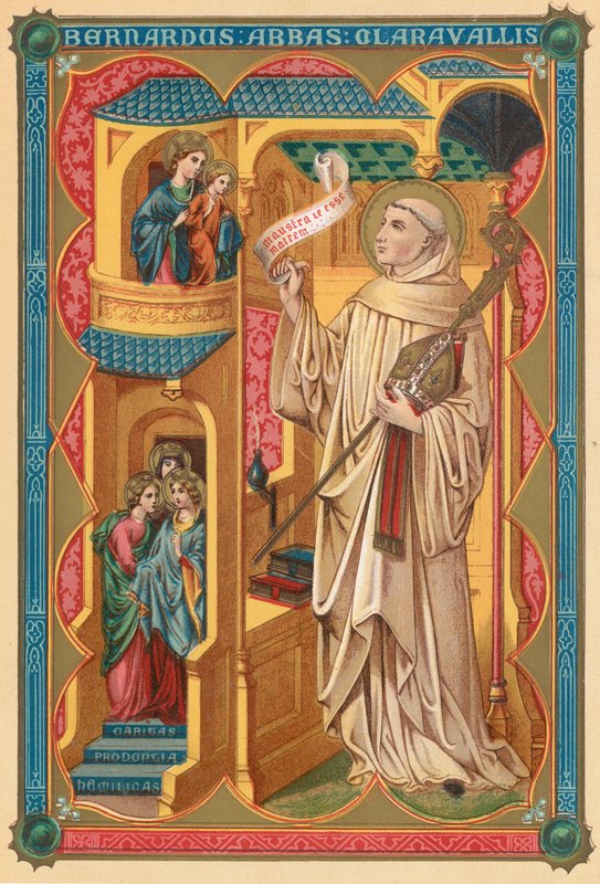 Saint Bernard - English School