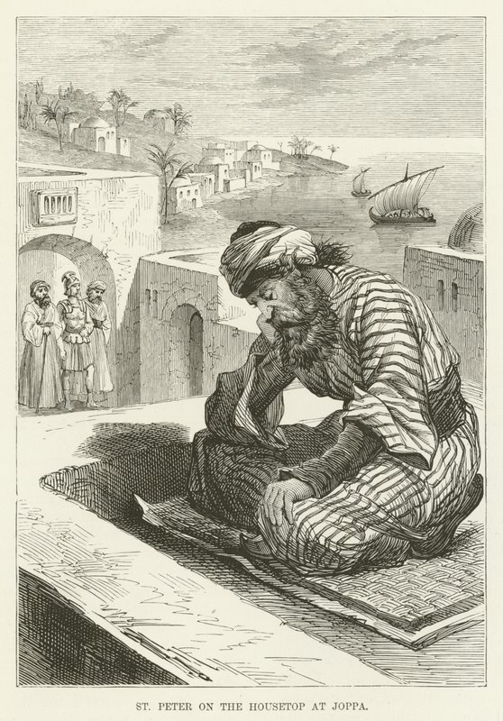Saint Pierre sur le toit à Joppé - English School