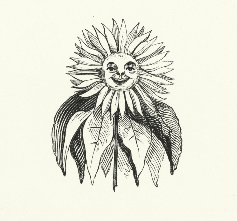 Tournesol - English School