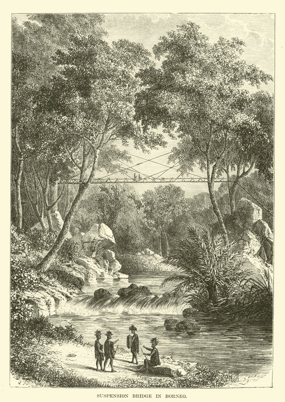 Pont suspendu à Bornéo - English School