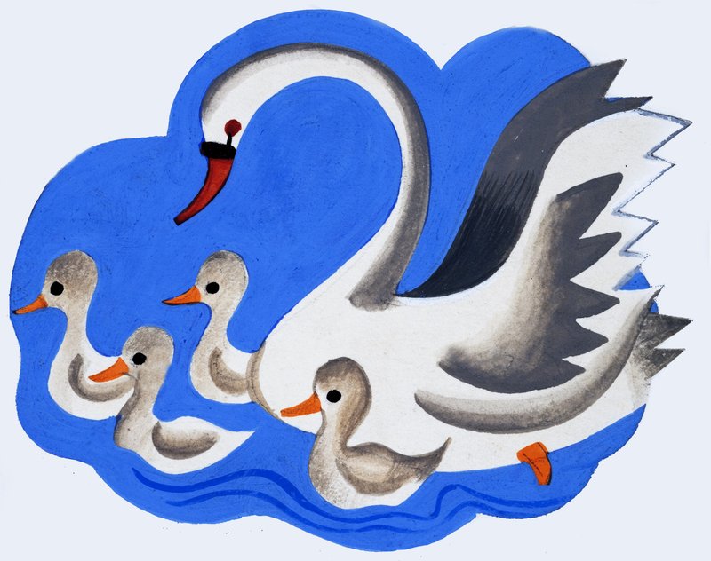 Cygne et cygneaux - English School