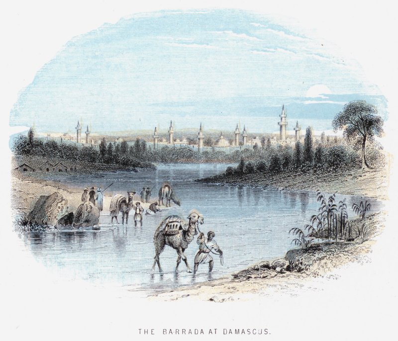 Le Barrada à Damas - English School