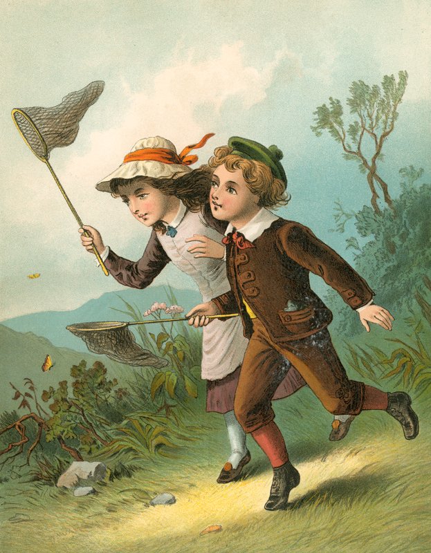 La chasse aux papillons - English School