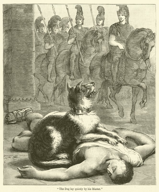 "Le chien restait tranquillement près de son maître" - English School