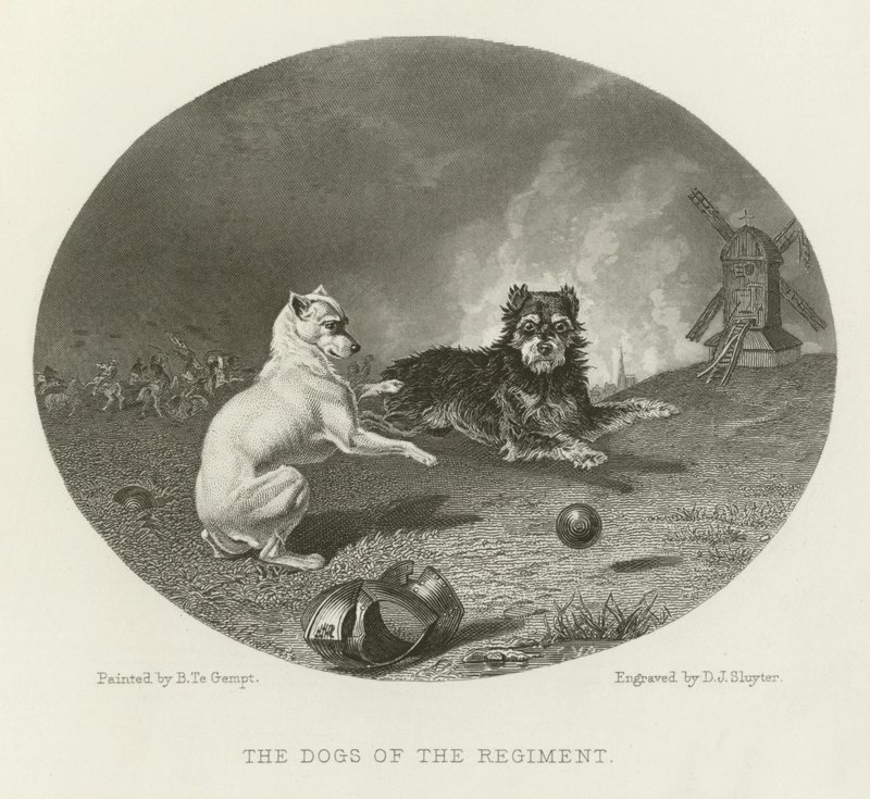 Les chiens du régiment - English School