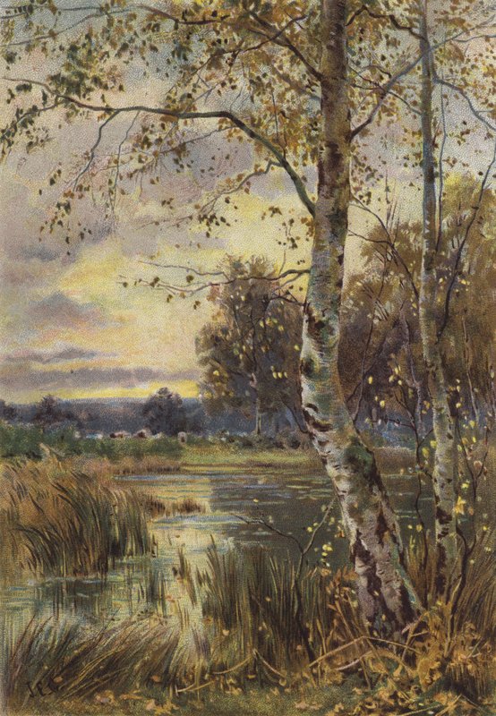 La feuille tombante - English School