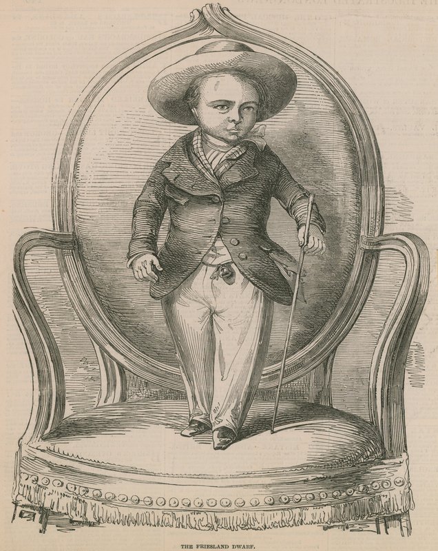 Le nain de Frise - English School