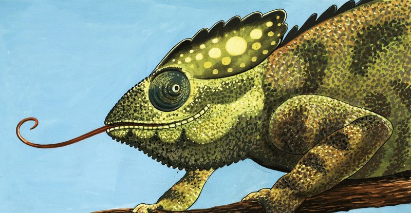 Le Caméléon géant - English School
