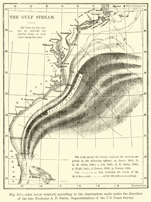 Le Gulf Stream - English School