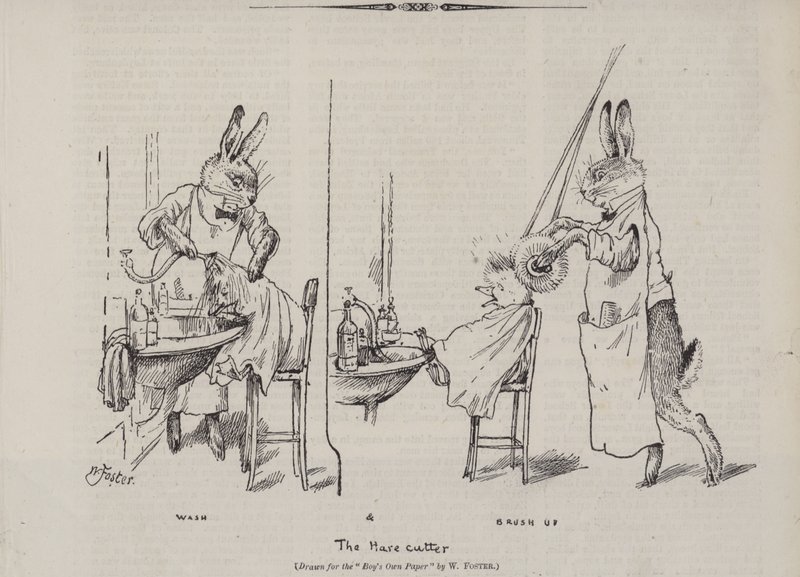 Le Coupeur de lièvre - English School