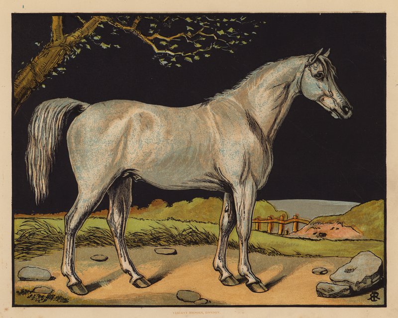 Le Cheval - English School