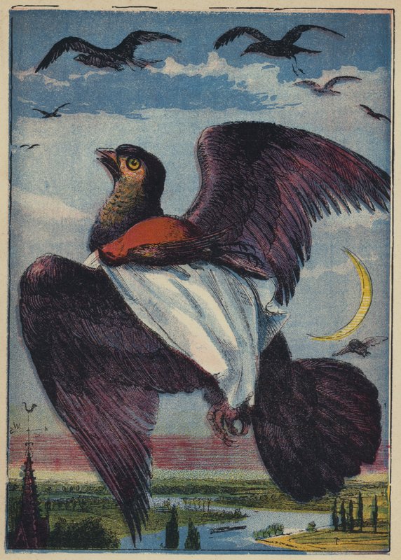 Le cerf-volant et le rouge-gorge - English School