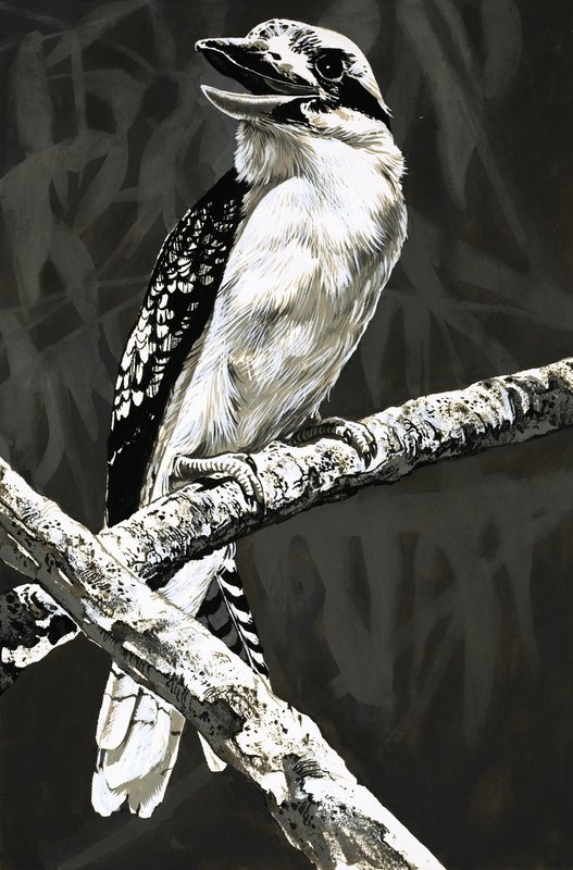 Le Kookaburra - English School