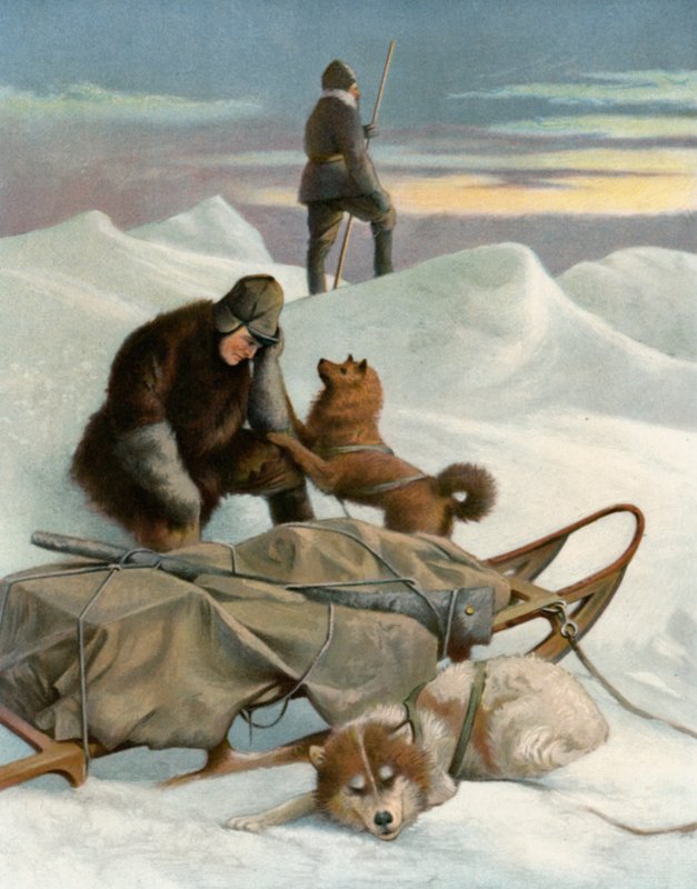 Les Derniers Survivants - English School