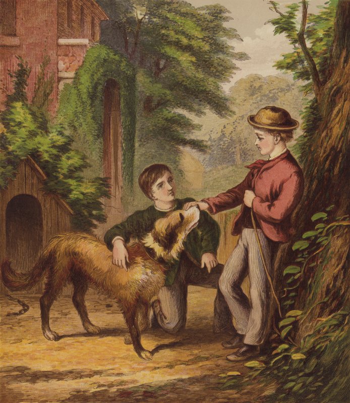 Le petit chien Trusty - English School