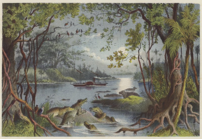 Le Ma-Robert sur le fleuve Zambèze - English School