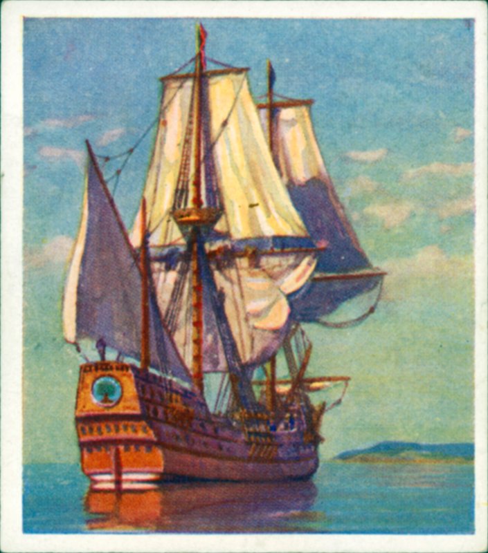 Le Mayflower - English School