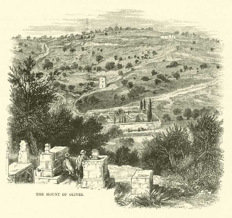 Le Mont des Oliviers - English School