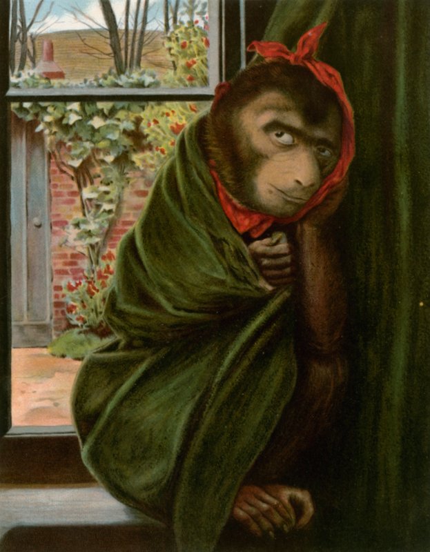 Le Singe Malade - English School