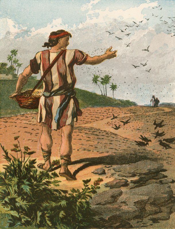 Le Semeur - English School