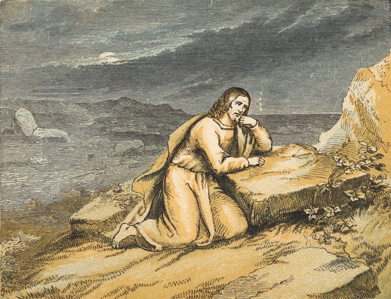 La Tentation - English School