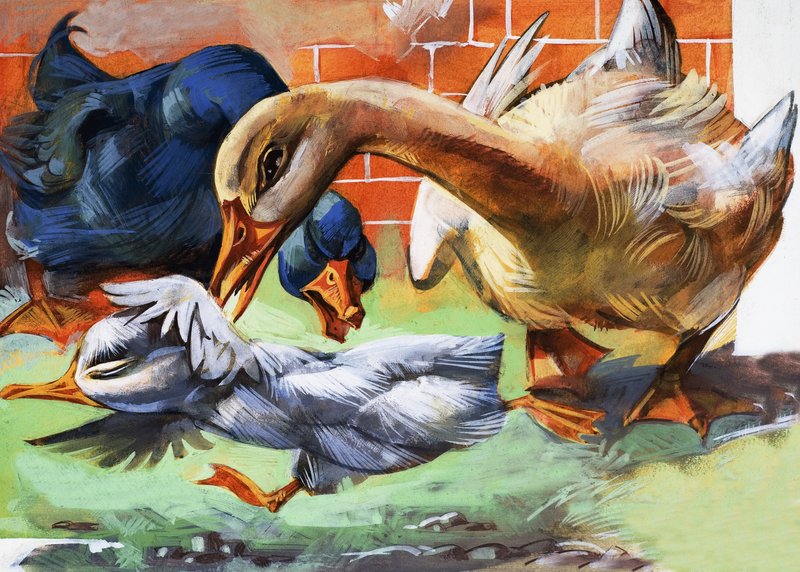 Le vilain petit canard - English School