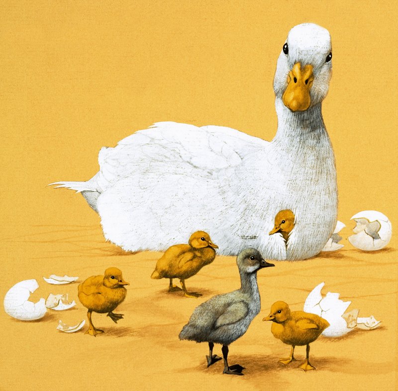 Le Vilain Petit Canard - English School
