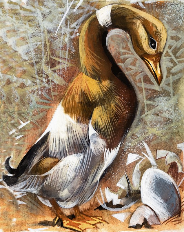 Le Vilain Petit Canard - English School