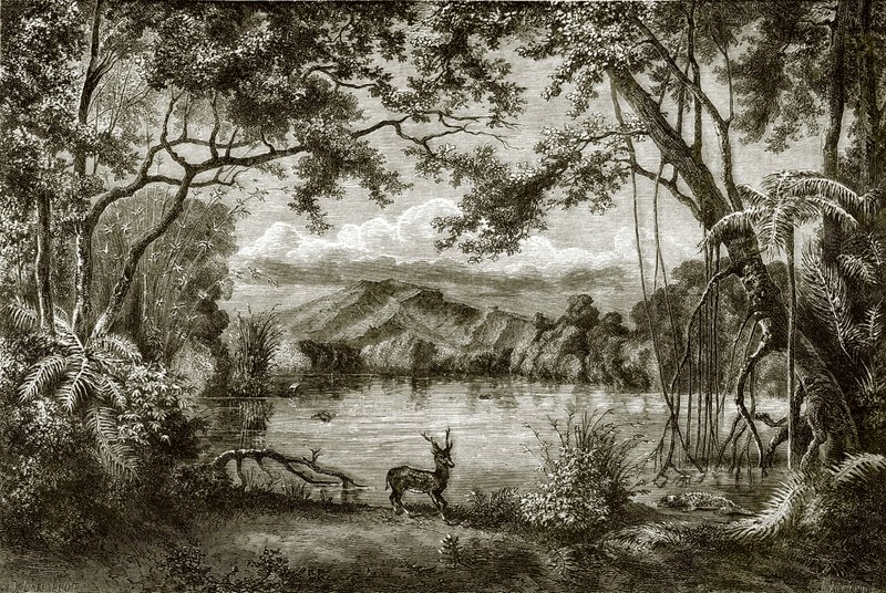 Le lac enchanté dans l