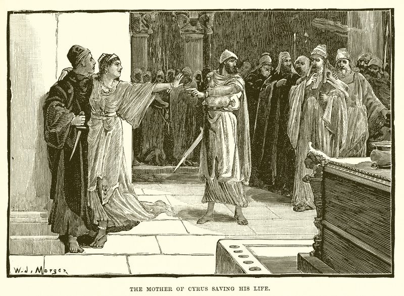 La mère de Cyrus sauvant sa vie - English School