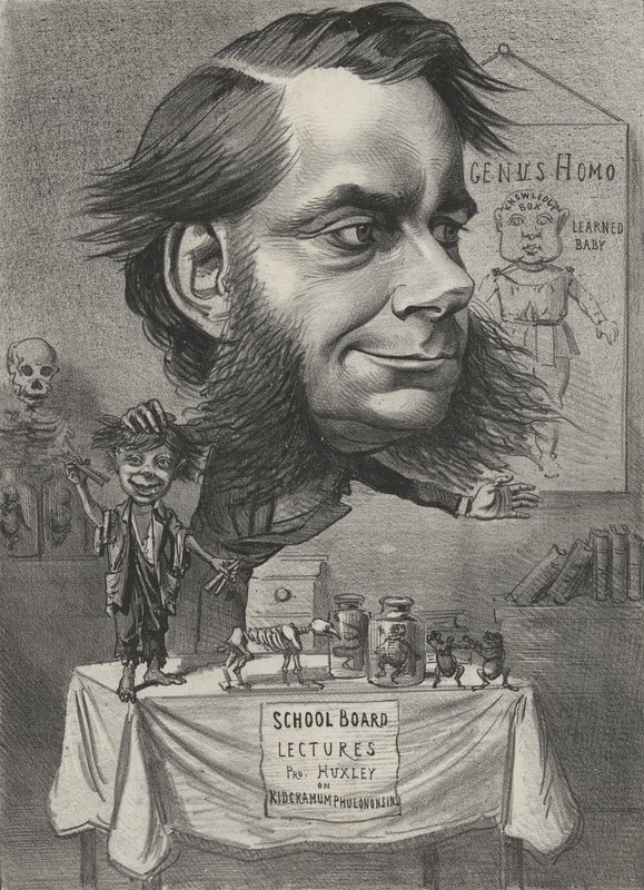 Thomas Henry Huxley, biologiste anglais - English School