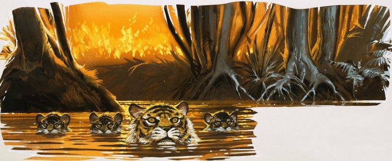 Tigres dans l