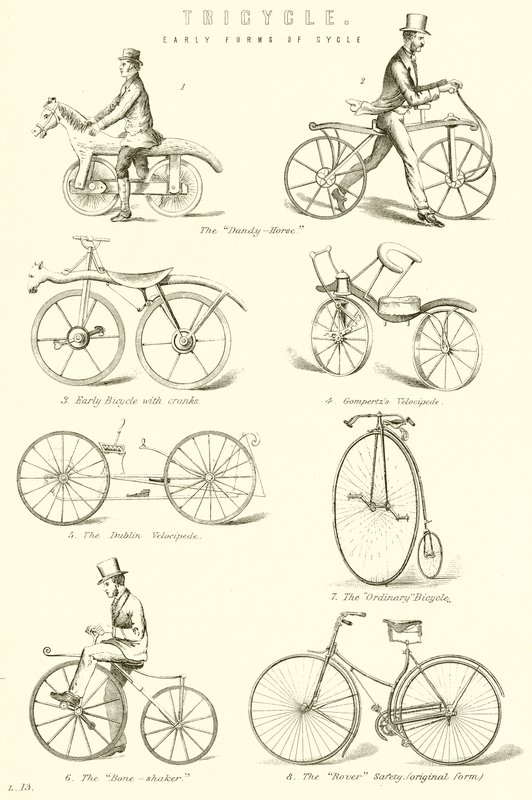 Tricycle. Premières formes de cycle - English School