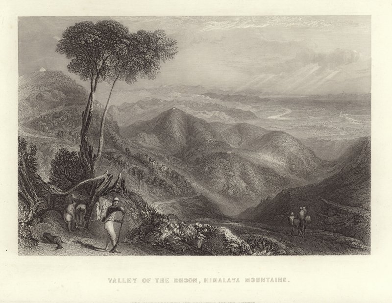 Vallée du Dhoon - English School