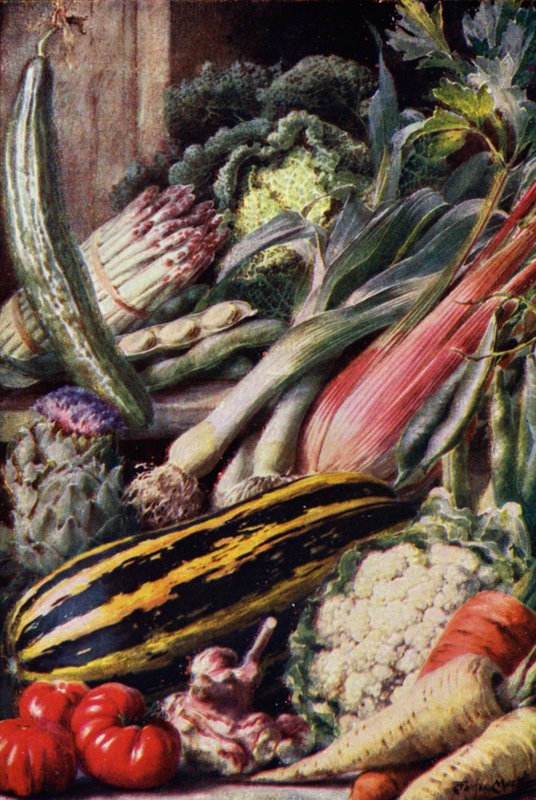 Légumes - English School