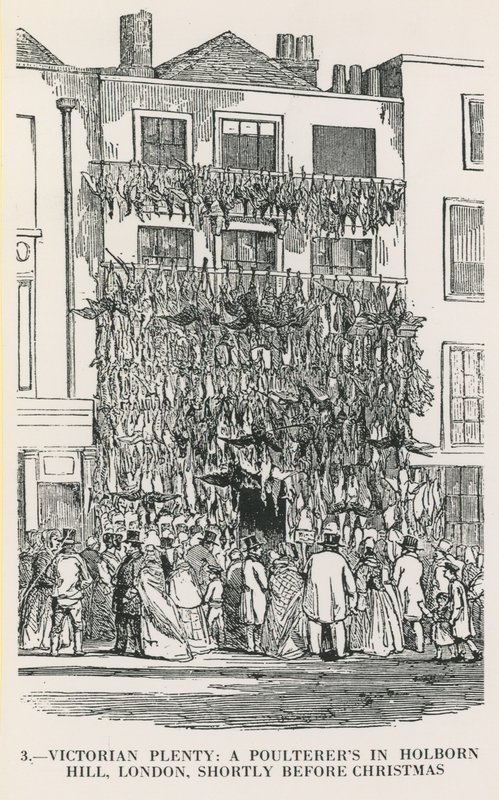 Abondance victorienne - English School