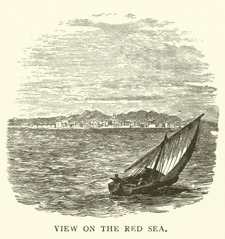Vue sur la mer Rouge - English School