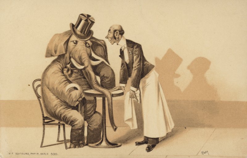 Un serveur sert un éléphant - English School