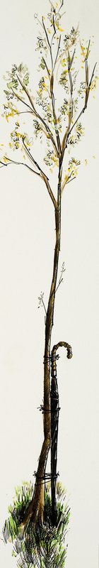 Canne avec arbre - English School