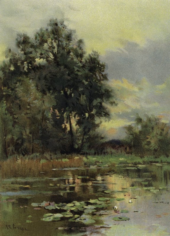 Nénuphars - English School