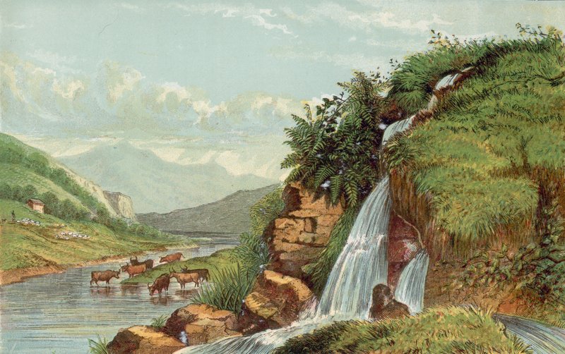 Cascade et bétail - English School