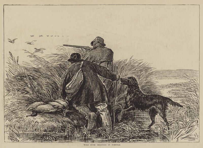 Chasse au Canard Sauvage dans le Norfolk - English School