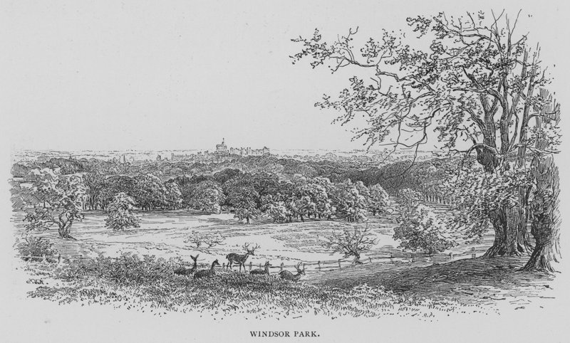 Parc de Windsor (gravure) - English School
