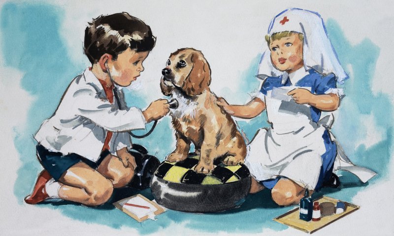 Jeunes vétérinaires - English School