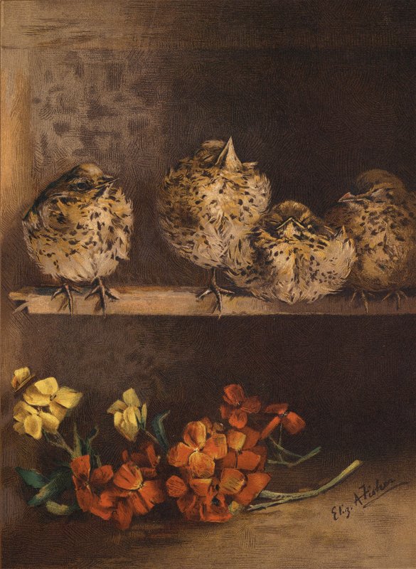 Jeunes poussins et fleurs - English School